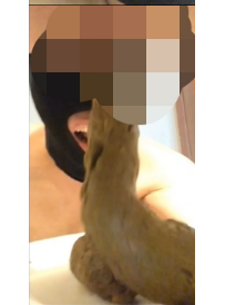׷2025Ů̼سƽʥˮ ls6648